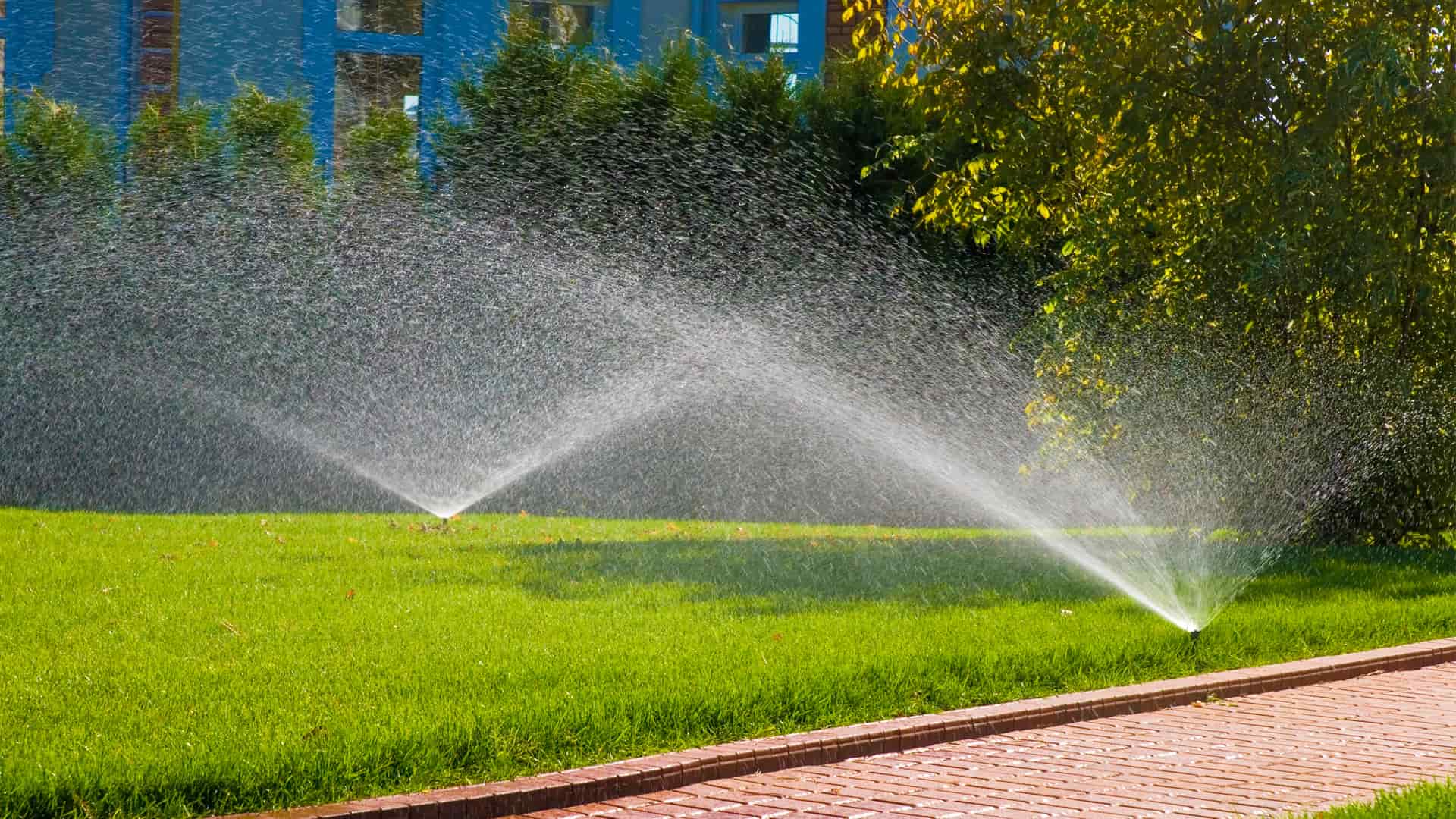 Lawn Sprinklers Image