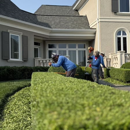 The Benefits of Professional Lawn Maintenance vs DIY