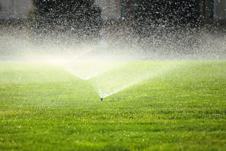 How Much Should You Water Your Lawn in Knoxville’s Climate? (Lawn Watering Knoxville, TN)