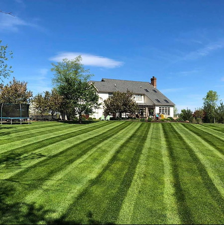 How to Keep Your Lawn Green During Tennessee Summer Heat