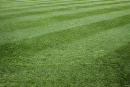 How to Prepare Your Lawn and Garden for Knoxville Winters