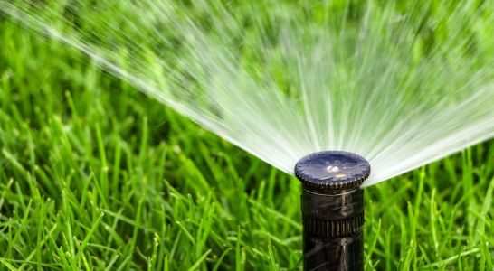 Signs Your Irrigation System Needs Repair (Before Summer Heat Hits)