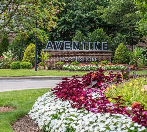 Commercial Landscape & Lawn Care Service Image