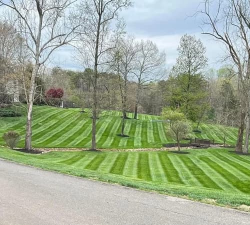 Lawn Care Service Image