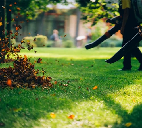 Property Cleanup Service Image